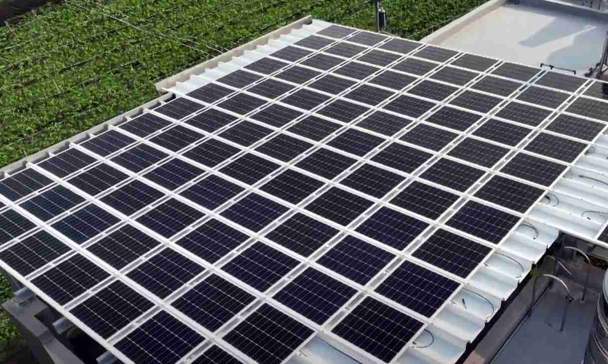 赏金国际SunSteel光电浪板升级双玻结构，，以提升机械负载强度及气候耐候度，，，，可广泛运用于多元场域